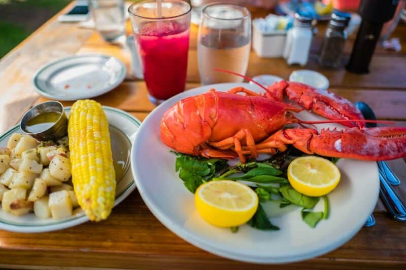 Get Out on a Maine Lobster Boat Tour